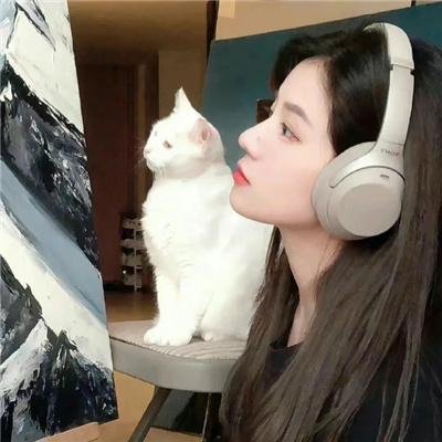 大胆贼
